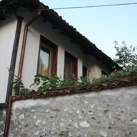 מלון זלאטוגרד Todorova House מראה חיצוני תמונה