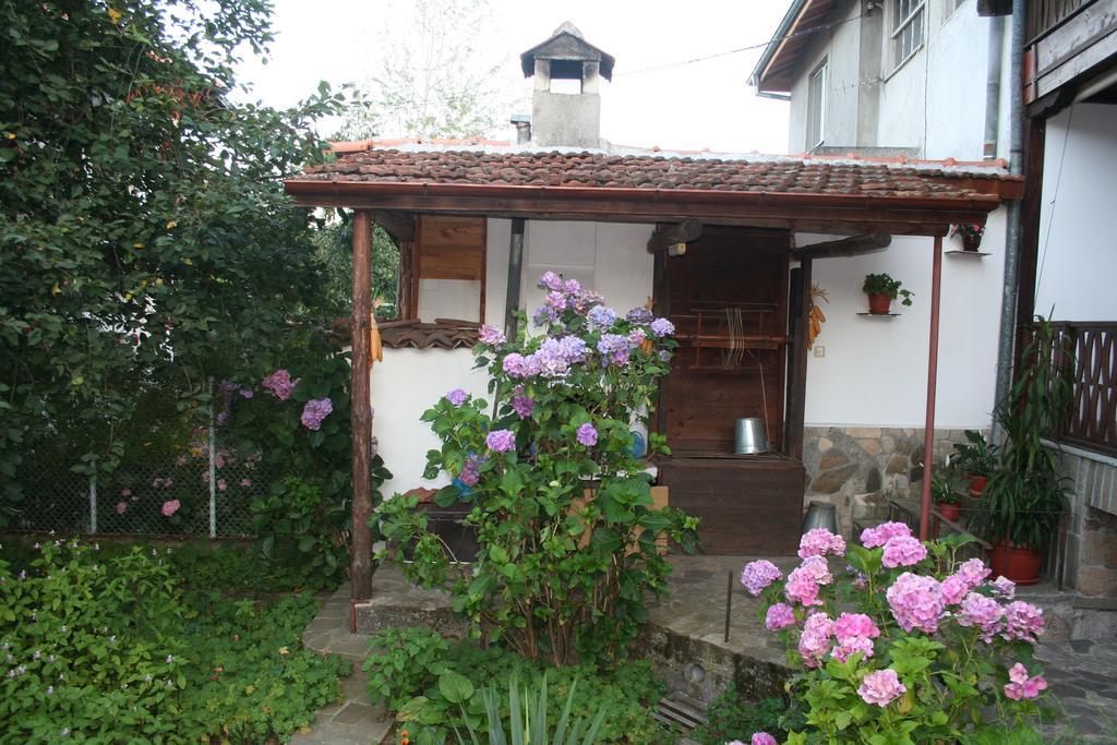 מלון זלאטוגרד Todorova House מראה חיצוני תמונה